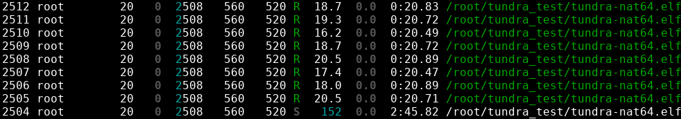 Load-balancing as shown by htop